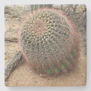 Dessous-de-verre En Pierre Baril cactus dans le désert, Arizona, dessous de v
