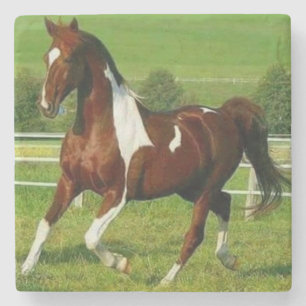 Dessous-de-verre En Pierre Beau Cheval