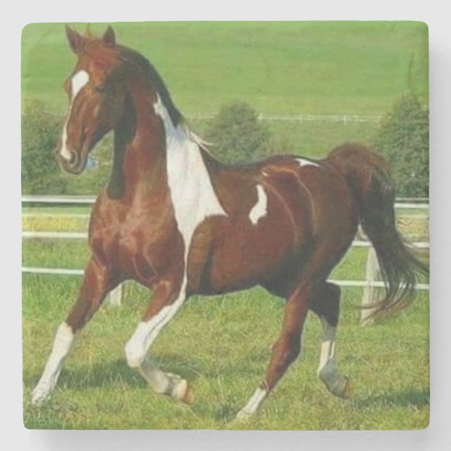 Dessous-de-verre En Pierre Beau Cheval (Devant)