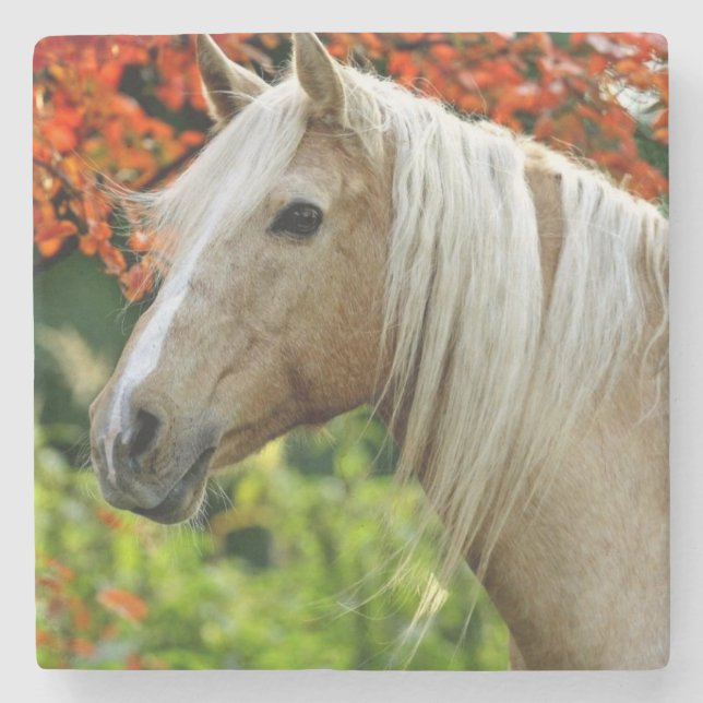 Dessous-de-verre En Pierre Beau cheval de trait de palomino (Devant)