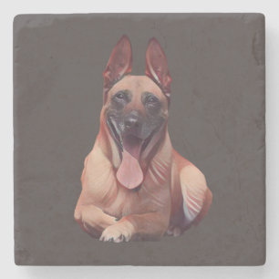 Dessous-de-verre En Pierre Beau Dessous de verre en marbre belge Malinois pei