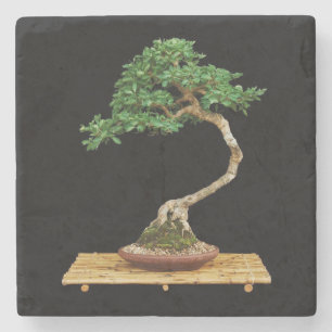 Dessous-de-verre En Pierre Beau Dessous de verre en pierre de Bonsai Tree
