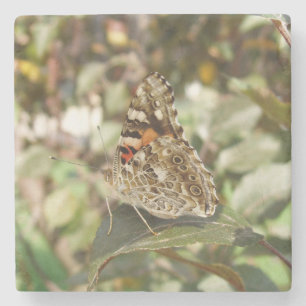 Dessous-de-verre En Pierre Beau Dessous de verre en pierre papillon