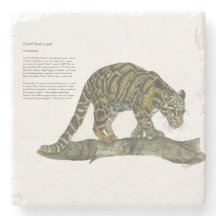 Beau léopard nuageux peint à la main