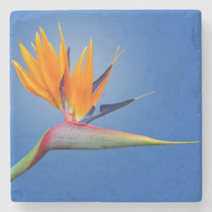 Dessous-de-verre En Pierre Beau Oiseau de Paradise Strelitzia Flower