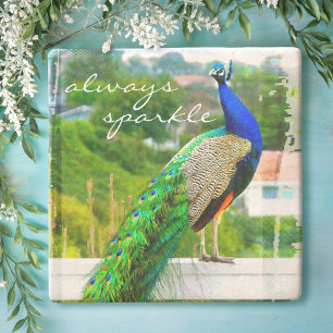 Dessous-de-verre En Pierre Beau Peacock Vert Bleu Toujours Citation Étincelan
