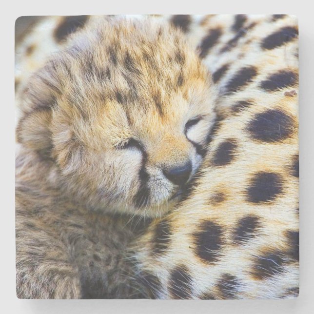 Dessous-de-verre En Pierre Bébé Guépard (Devant)