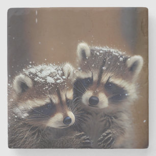 Dessous-de-verre En Pierre Bébé Raccoons se blottit dans la neige tombante