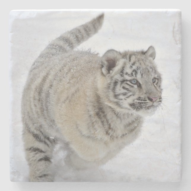 Dessous-de-verre En Pierre Bébé Tigre Blanc (Devant)