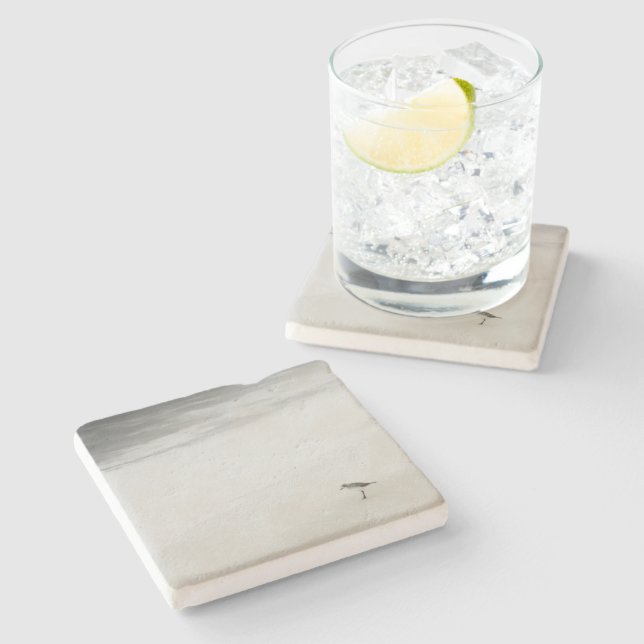 Dessous-de-verre En Pierre Bécasseau côtier sur la plage (Côté)