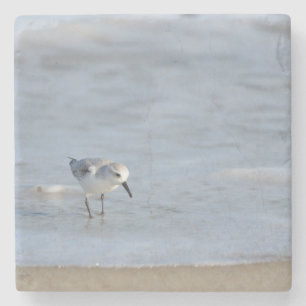 Dessous-de-verre En Pierre Bécasseau solitaire marchant sur la plage