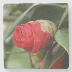 Dessous-de-verre En Pierre Belle Carthame Rouge