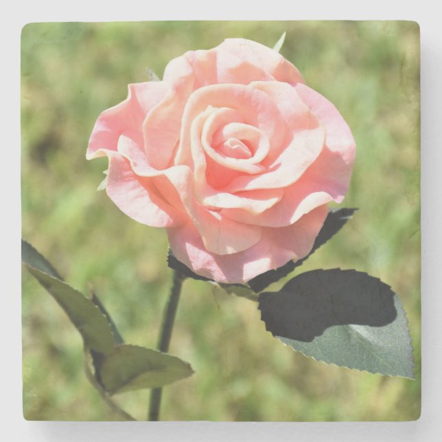 Dessous-de-verre En Pierre Belle Fleur Rose Rose Parfaite (Devant)