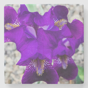 Dessous-de-verre En Pierre Belle iris violet