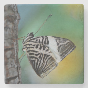 Dessous-de-verre En Pierre Belle Mosaïque Zèbre Papillon