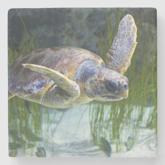Dessous-de-verre En Pierre Belle natation de tortue marine (Devant)