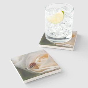 Dessous-de-verre En Pierre Belle rose blanche, coccinelle rouge