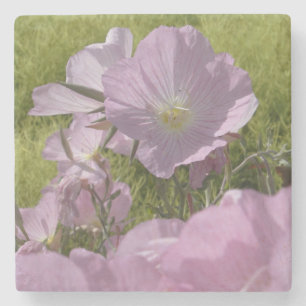 Dessous-de-verre En Pierre Belles fleurs roses photo dessous de verre en marb
