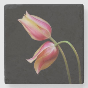 Dessous-de-verre En Pierre Belles tulipes