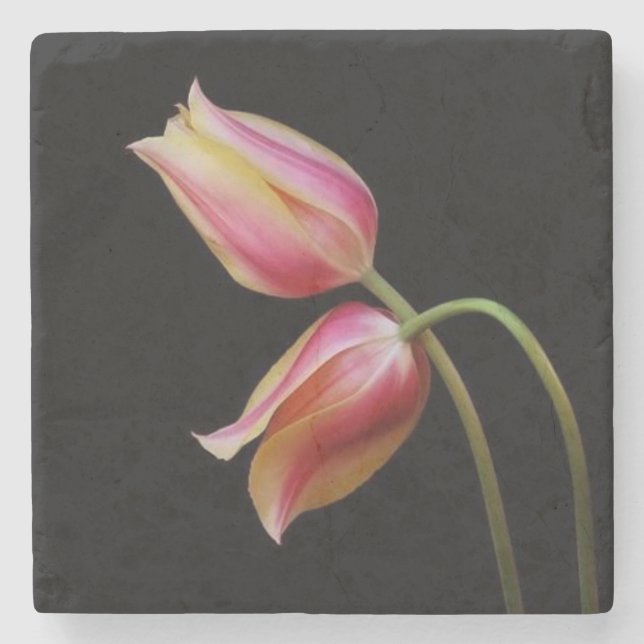 Dessous-de-verre En Pierre Belles tulipes (Devant)