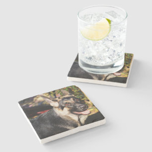 Dessous-de-verre En Pierre berger allemand par Shirley Taylor
