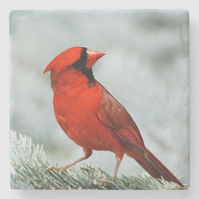 Dessous-de-verre En Pierre BIRD réseau _coaster (Devant)