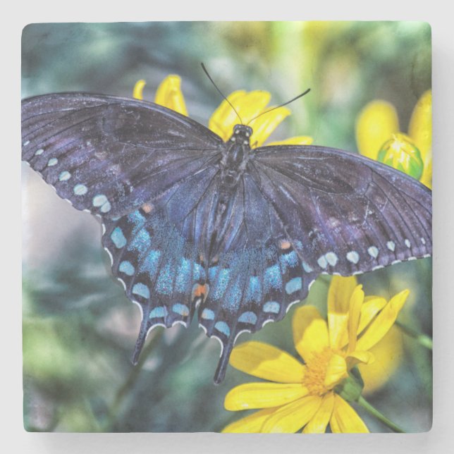 Dessous-de-verre En Pierre Black Swallowtail sur fleurs jaunes (Devant)