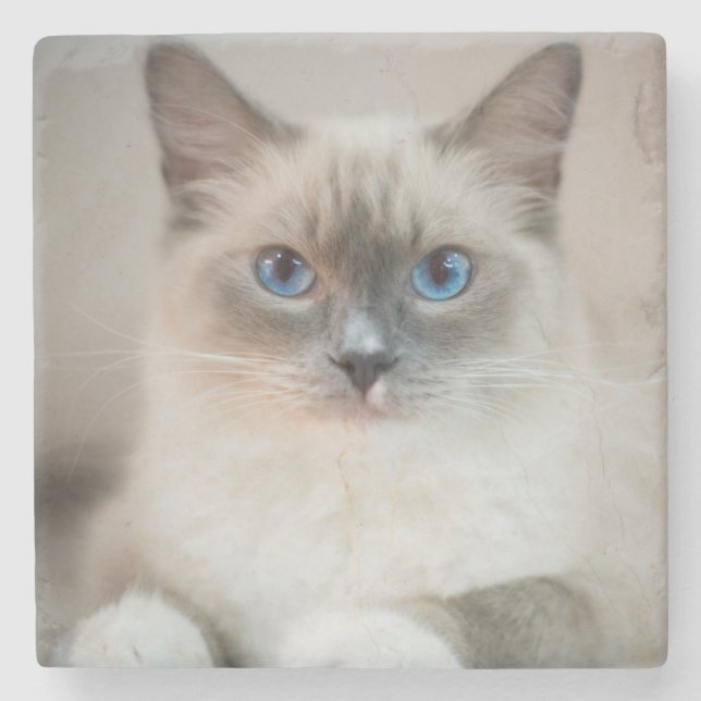 Dessous-de-verre En Pierre Bleu ‎ Ragdoll (Devant)