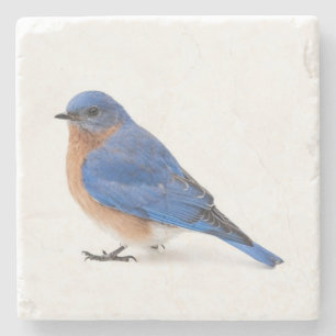 Dessous-de-verre En Pierre Bluebird