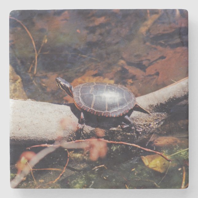 Dessous-de-verre En Pierre Bonne tortue (Devant)