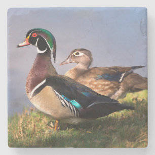 Dessous-de-verre En Pierre Bord de lac, Canard branchu
