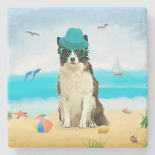 Dessous-de-verre En Pierre Bordure Collie Dog sur la plage