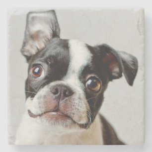 Dessous-de-verre En Pierre Boston Terrier