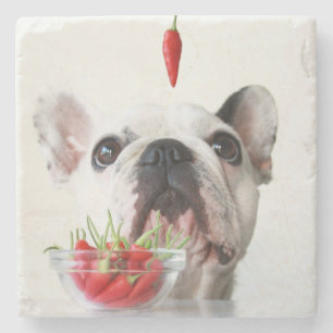 Dessous-de-verre En Pierre Bouledogue français regardant un poivron rouge