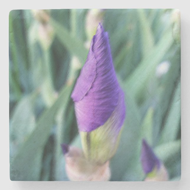 Dessous-de-verre En Pierre bourgeon d'iris pourpre (Devant)