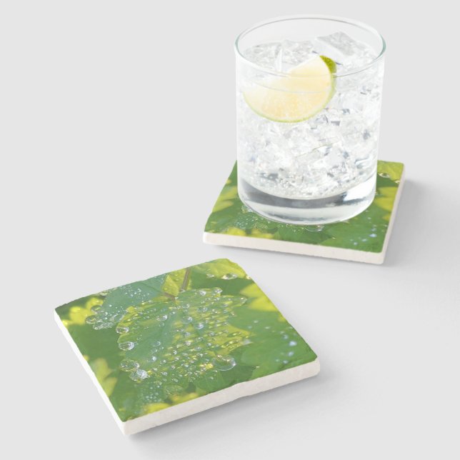 Dessous-de-verre En Pierre Boutons cool Sur Feuille Verte (Côté)