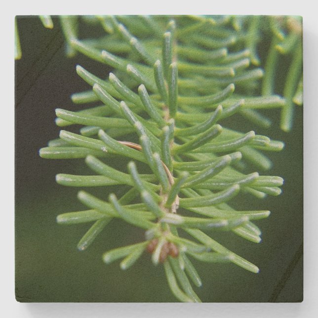 Dessous-de-verre En Pierre Branche Arbre de Noël (Devant)