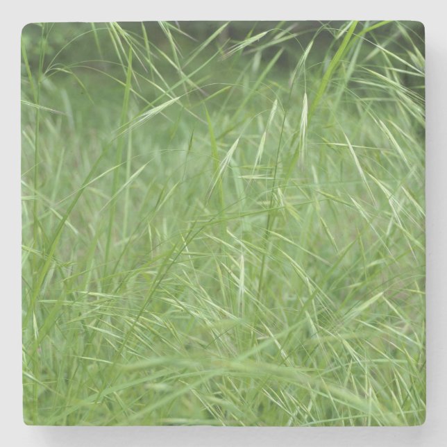 Dessous-de-verre En Pierre Bromus tectorum (Devant)