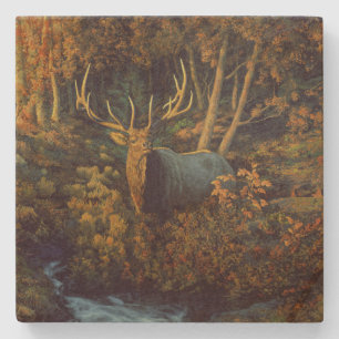 Dessous-de-verre En Pierre Bull Elk dans la forêt d'automne