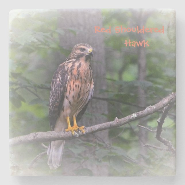 Dessous-de-verre En Pierre Buse mystique (Devant)