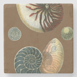 Dessous-de-verre En Pierre Cacao Shell