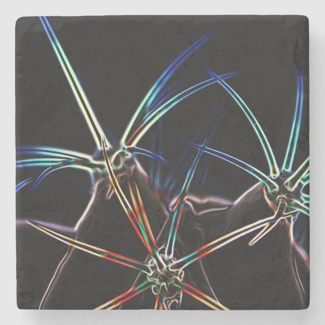 Dessous-de-verre En Pierre Cactus 1 (Devant)