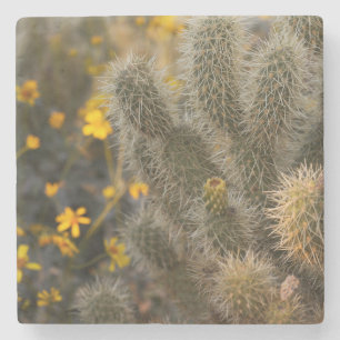 Dessous-de-verre En Pierre cactus et fleurs sauvages