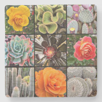 Cactus Rose Fleurs Photographie Collage Modern Bol