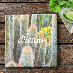 Dessous-de-verre En Pierre Cactus verts flous Succulent Photo Écriture de rêv