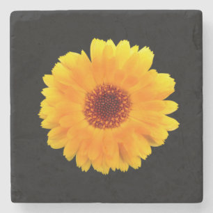 Dessous-de-verre En Pierre Calendula Officinalis