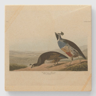Dessous-de-verre En Pierre California Partridge - Audubon's Birds of America