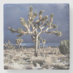 Dessous-de-verre En Pierre Californie, parc national de Joshua Tree