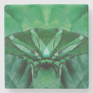 Dessous-de-verre En Pierre Canada, Victoria, Victoria Butterfly Gardens