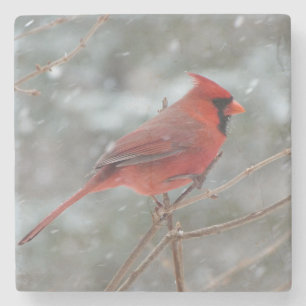 Dessous-de-verre En Pierre Cardinal rouge